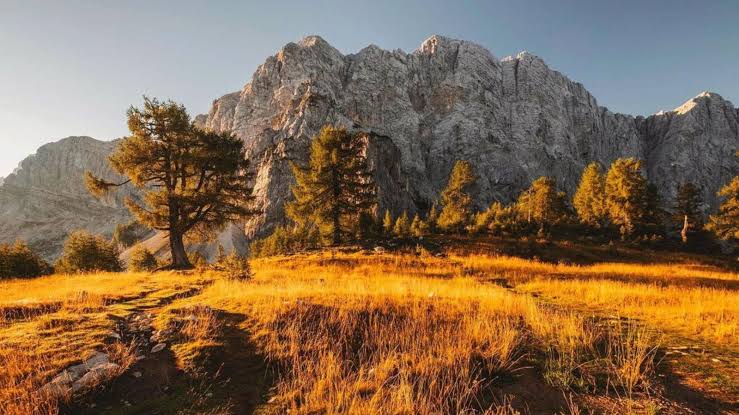 Autumn