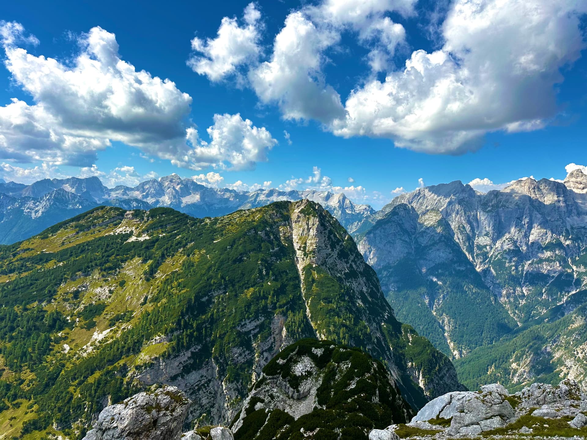 Pogled na Julijske Alpe / View of the Julian Alps